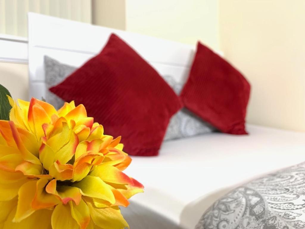 Edinburgh Ocean Inn Luaran gambar